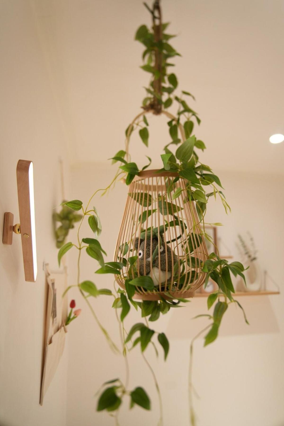 Flower House 102