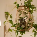 Flower House 102